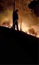 Arsuz'da Orman Yangını Kontrol Altına Alındı