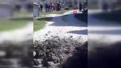 Buzağı Kanalizasyonda Sıkıştı! İtfaiye Kurtardı