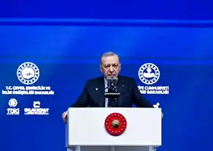 Erdoğan, Deprem Bölgesi'ndeki Yeniden İnşa Çalışmalarını Anlattı