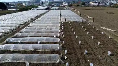 Depremzede Çiftçi Erken Kabak Hasadı İçin Hazırlıkta