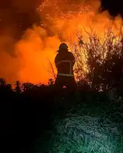Hatay Arsuz'da Kamışlık Alanı Yandı