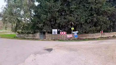 Hatay'da Kuduz Köpek Panik Yaratıyor!