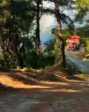 Hatay'da Orman Yangını Kontrol Altında!