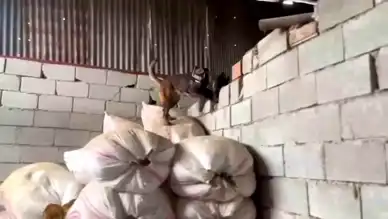 Hatay'da Kapsamlı Uyuşturucu Operasyonu: Çok Miktarda Madde Ele Geçirildi