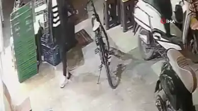 Fırından Hırsızlık: Kadın Tutuklandı