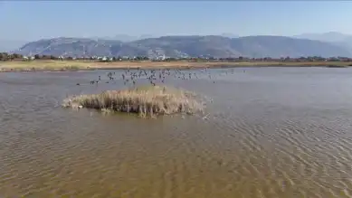 Sulak Alan Yağışlarla Canlandı
