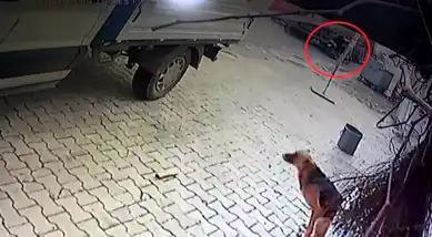 Reyhanlı'da 84 Yaşındaki Adam Motosiklet Kazasında Hayatını Kaybetti