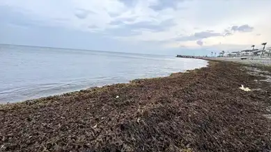 İskenderun ve Arsuz'da Deniz Çekildi!