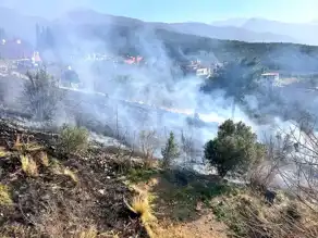 İskenderun'da Bahçe Yangını Kontrol Altına Alındı