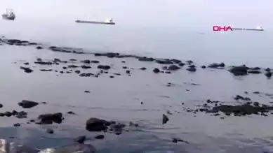 İskenderun'da Deniz 15 Metre Çekildi!