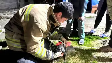 Yavru Köpek 17 Metrelik Kuyudan Kurtarıldı!