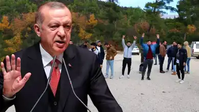 Sınır Kapısı Yeniden Açıldı: Dönüşler Başladı