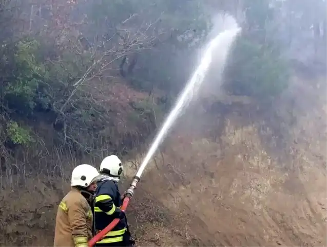 Hatay Arsuz'da Orman Yangını Sönmüştür