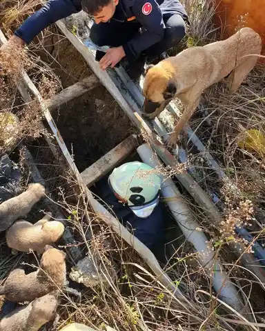 Hatay'da Çukura Düşen Yavru Köpek Kurtarıldı