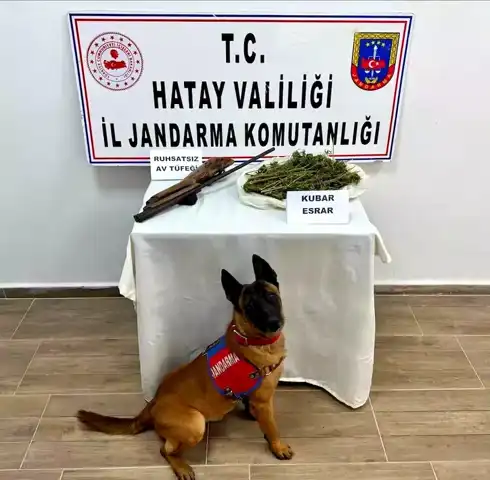 Hatay'da Kapsamlı Uyuşturucu Operasyonu: 25 Gözaltı