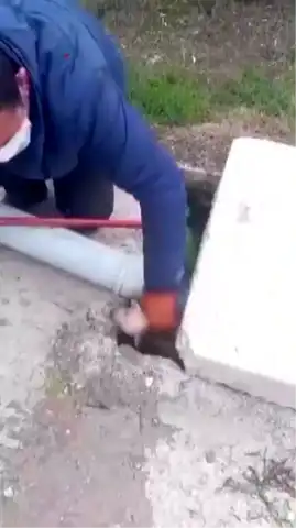 Kumlu'da Kanalizasyonda Mahsur Kalan Yavrular Kurtarıldı!