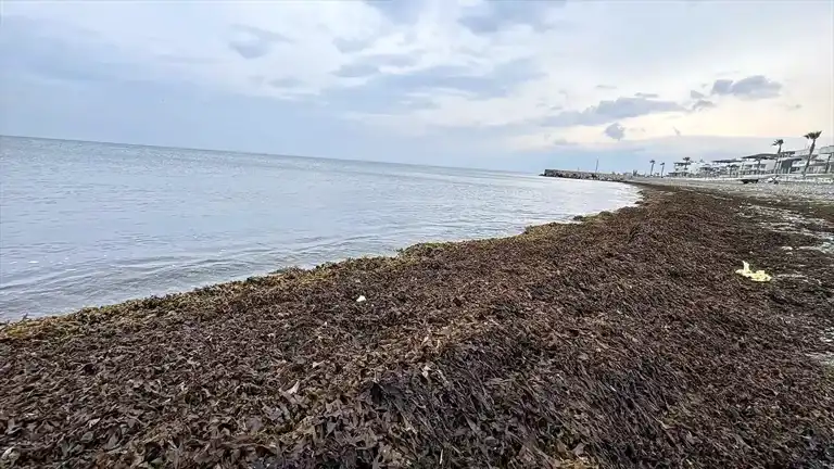 İskenderun ve Arsuz'da Deniz Çekildi!