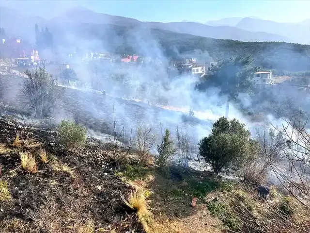 İskenderun'da Bahçe Yangını Kontrol Altına Alındı